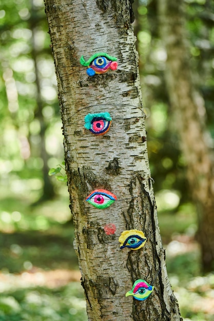 Kunstobjekt menschlicher Augen auf Baumstamm im grünen Waldhintergrund, Bäume sehen ökologisch aus