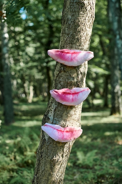 Kunstobjekt menschlicher Lippen auf Baumstamm im grünen Waldhintergrund. Bäume schmecken ökologisch