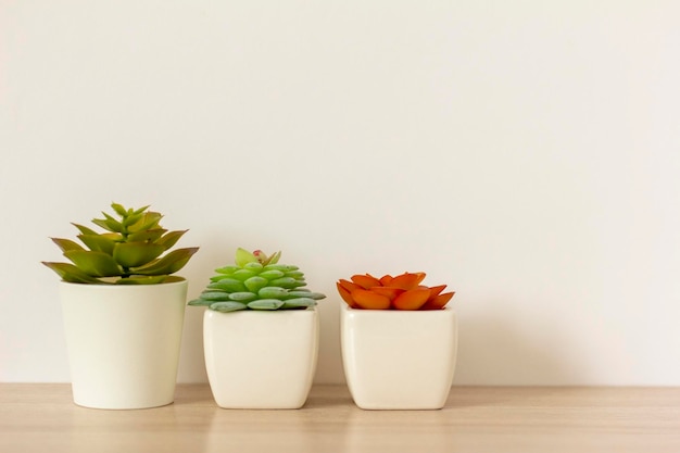 Kunstpflanzen für den Innenbereich Verschiedene Sukkulenten in Töpfen Sukkulenten in weißen Minitöpfen Ideen für die Dekoration zu Hause Platz zum Kopieren