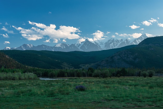 Kurai Steppe und Northchui Grat im Hintergrund Altai-Gebirge Russland