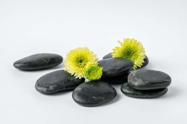 Kursteine und Blumen auf weißem Hintergrund