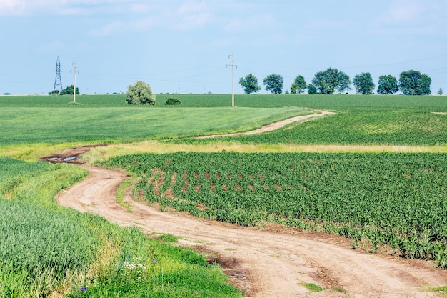 Foto kurvenreiche landstraßen und grüne ackerflächen natürliche landschaften