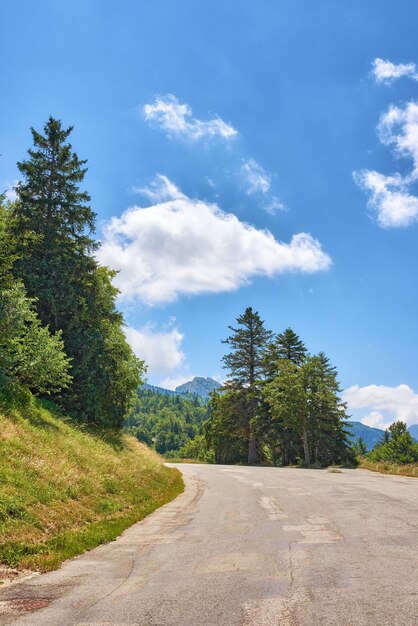 Kurvenreiche offene Straße oder Straße durch grüne hohe Bäume mit wolkig blauem Himmel Landschaftsansicht eines Weges in einer malerischen und ruhigen Lage, umgeben von Natur oder üppigem Laub an einem Sommertag