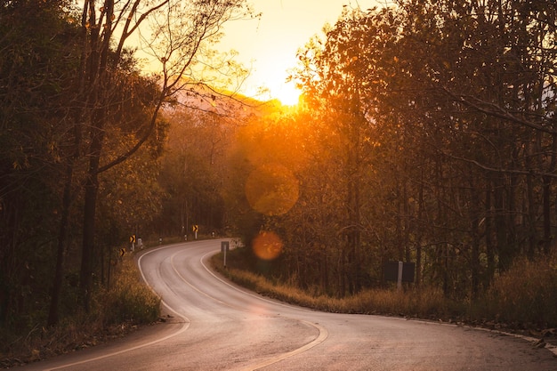 Kurvenreiche Straßen in der Landschaft mit Wäldern.