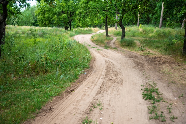 Kurvenreicher Weg im Wald, Waldweg in einer schönen Landschaft