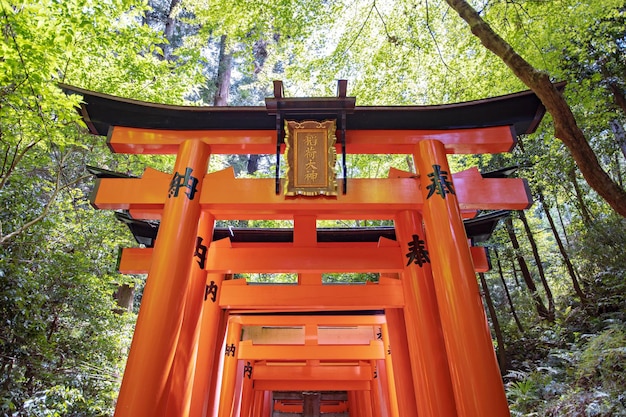 Kyoto, Japan Mai - 22., 2019: Fushimi Inari Schrein, Kyoto, Japan