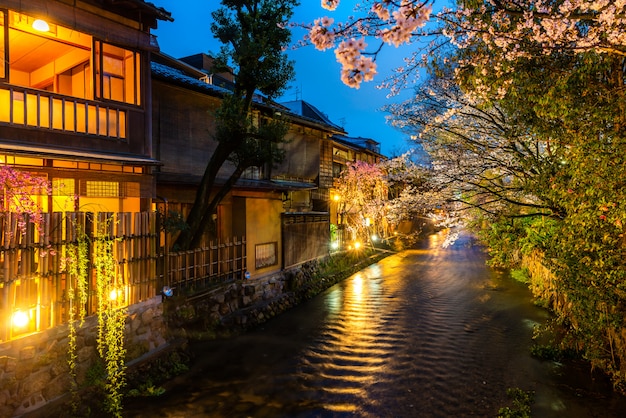 Kyoto, Japão, no rio Shirakawa, no distrito de Gion, durante a primavera.