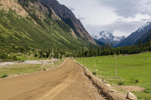 Kyrgyzstan Schluchten Berggrüne Tallandschaft Barskoon Schlucht Berge Straße und Wald