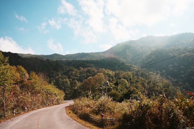 L9abel advertencia de carretera curva en la montaña en Tailandia