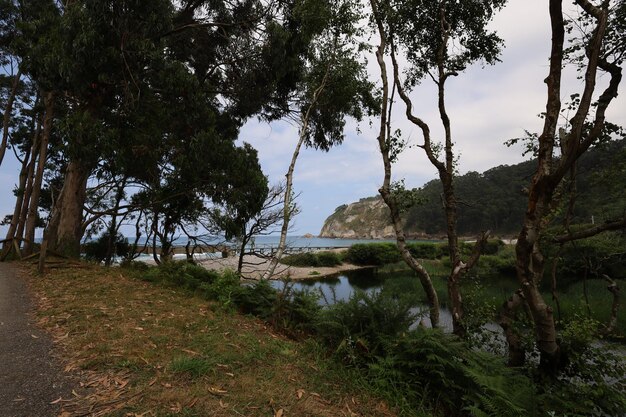 Foto la concha de artedo strandstadt cudillero kantabrien