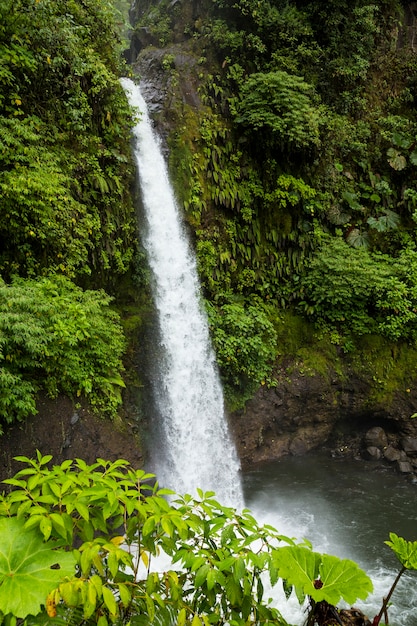 La fortuna cachoeira na floresta tropical na costa rica