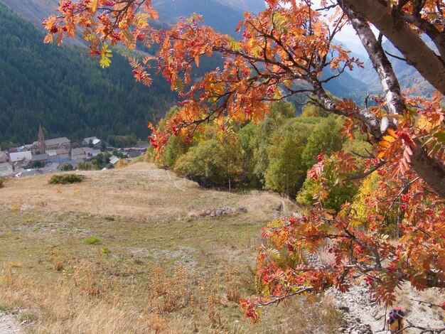 La grave hautes alpes FRANÇA