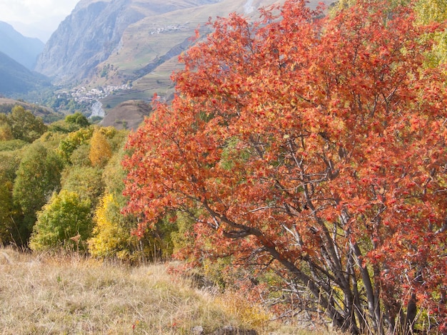 La grave hautes alpes FRANÇA