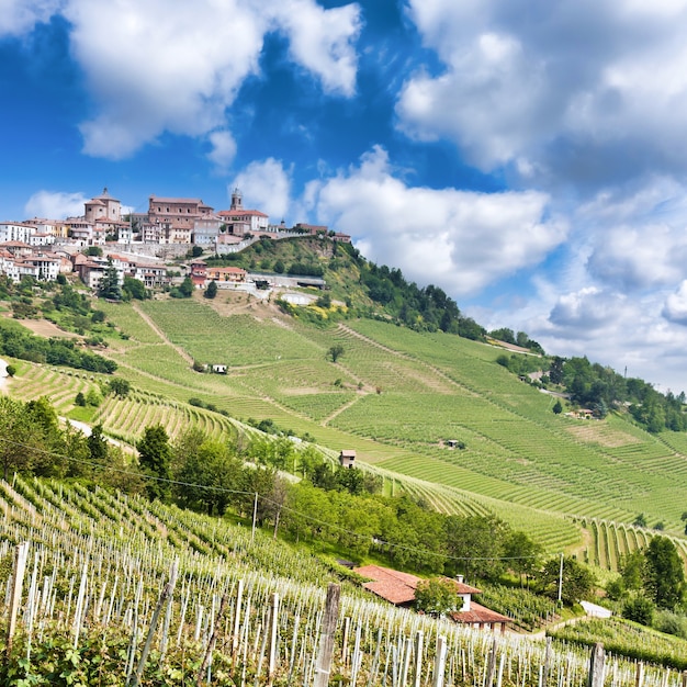 La Morra. Traditionelles Dorf in der Nähe von Barolo und Alba, in der Region Piemont, Italien.