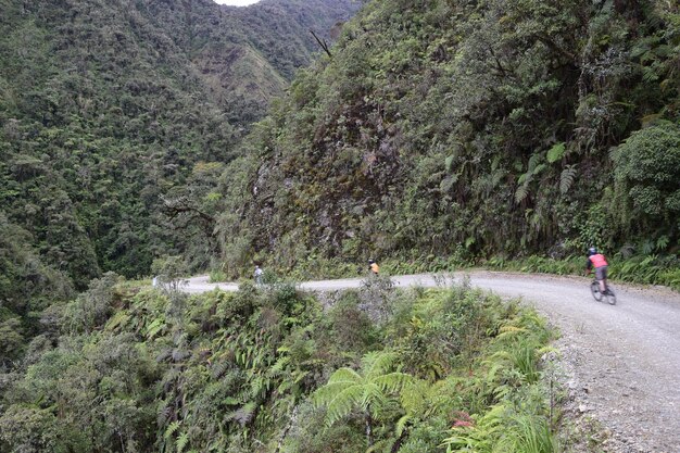 La PazCoroico Bolivien 29. Januar 2017 Radfahrer auf der Todesstraße Yungas North Road zwischen La Paz und Coroico