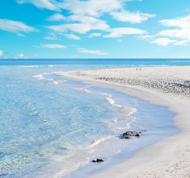 La pelosa foreshore em um dia nublado