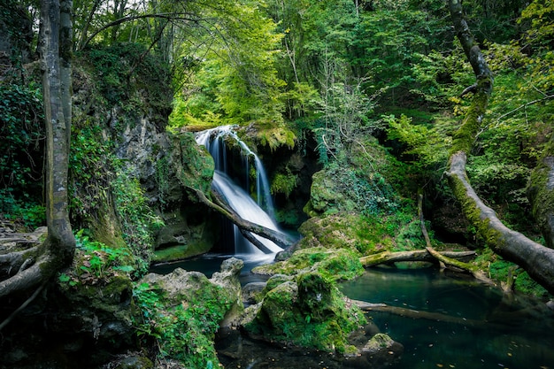 La Vaioaga Wasserfall im Wald, Rumänien.