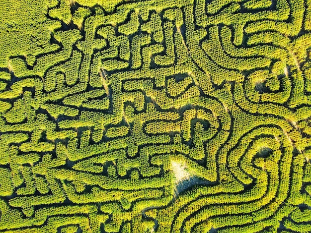 Laberinto natural - disparo de un avión no tripulado