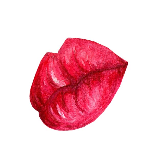 Los labios rosados coloridos acuarela glamour