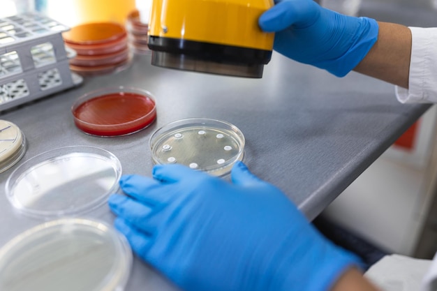 Laboratorio de ciencias médicas Pruebas de susceptibilidad a los antibióticos Científico hace pruebas de antibióticos Ambicioso joven especialista en biotecnología que trabaja con equipos avanzados