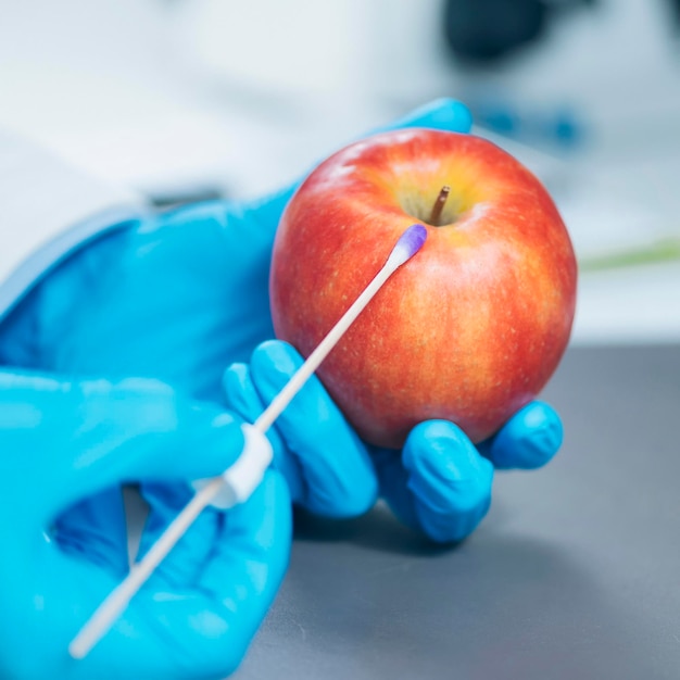 Laboratório de Análise de Segurança Alimentar Bioquímico procurando presença de pesticidas em maçãs
