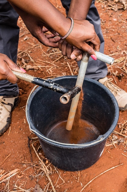 Laboratório de ensaios de coleta de café no solo no Quénia Paisagem Agricultura Agrícola Agronegócio