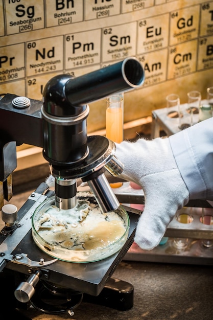 Laboratorio químico durante la prueba de moho.