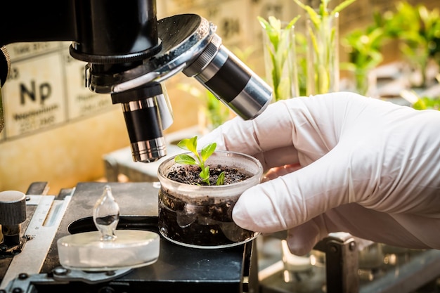 Foto laboratorio químico durante la prueba de pesticidas