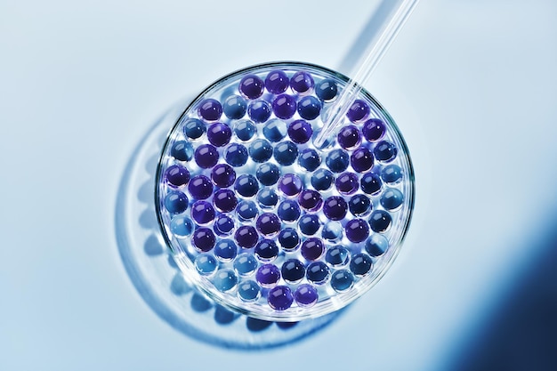 Labortropfer mit Probe von Gelblasen in Petrischale auf blauem Hintergrund harte Schatten Abstraktes Wissenschaftsmedizin- und Schönheitskonzept