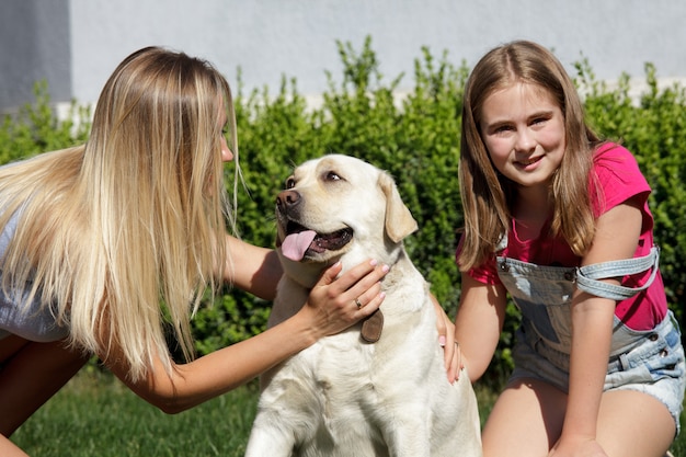 Labrador cachorro, mãe e filha na grama verde perto de casa