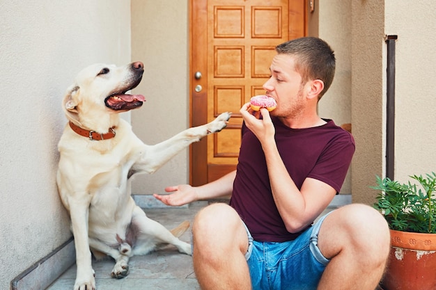 Foto labrador retriever alcançando um homem comendo donut na entrada da casa