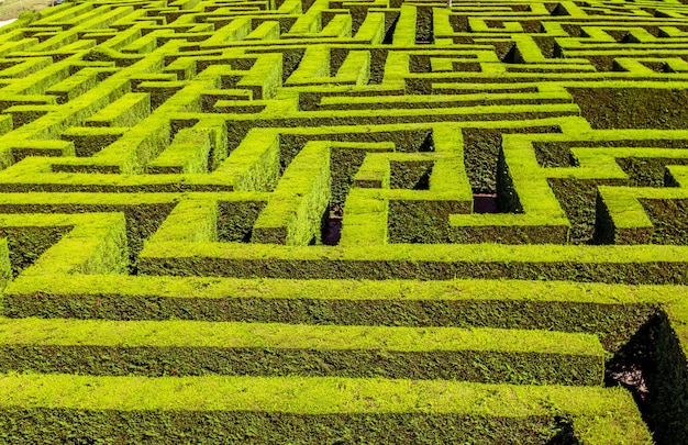 Labyrinth aus grünen Pflanzen in Kantabrien Spanien