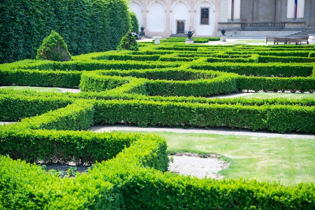 Labyrinth von Grünpflanzen im Garten von Prag, Tschechien, an sonnigen Sommertagen auf Naturlandschaft. Landschaftsbau, Gartenkonzept. Urlaub, Reisen, Fernweh