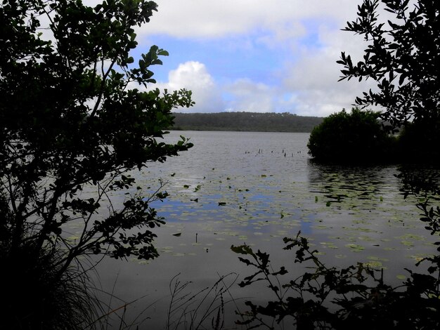 Foto lac de leon in frankreich