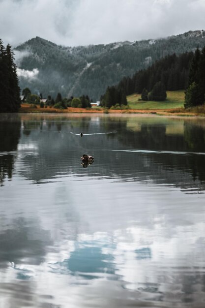 Lac de Morgins no inverno com montanhas cobertas de neve, Pas de Morgins