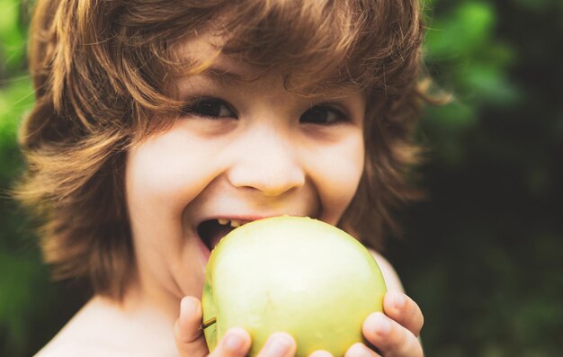 Lachender süßer blonder kleiner Junge, der große Apfelfrüchte isst Porträt auf verschwommenem Hintergrund