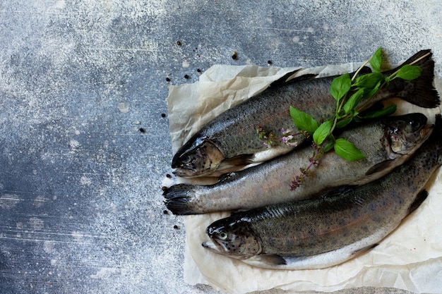 Lachs Frischer roher Lachsfisch mit kulinarischen Gewürzen und Kräutern Draufsicht Textfreiraum