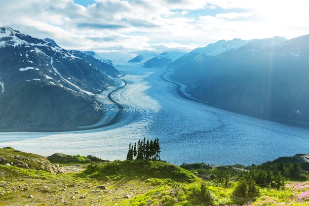 Lachsgletscher in Stewart, Kanada