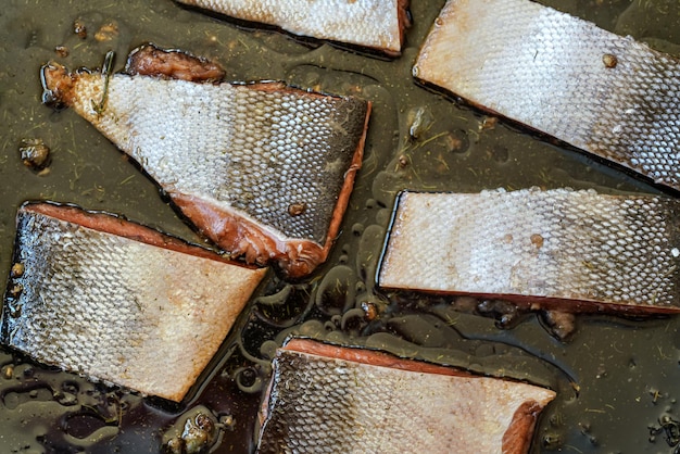 Lachsstücke mit Haut in Speiseöl und einigen Kräutern in der Pfanne - zum Backen