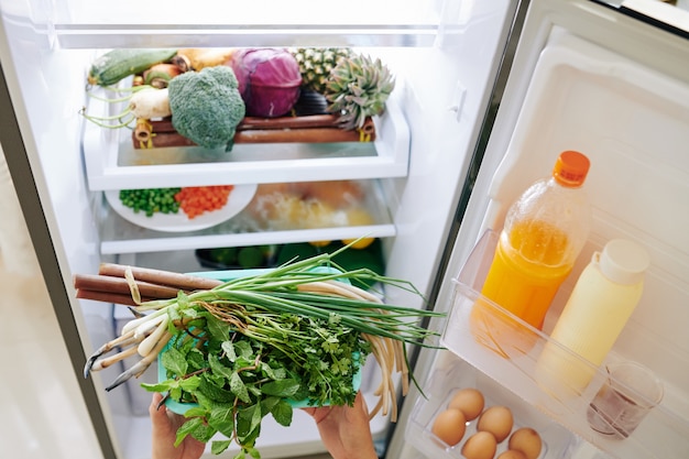 Laden des Kühlschranks mit Lebensmitteln