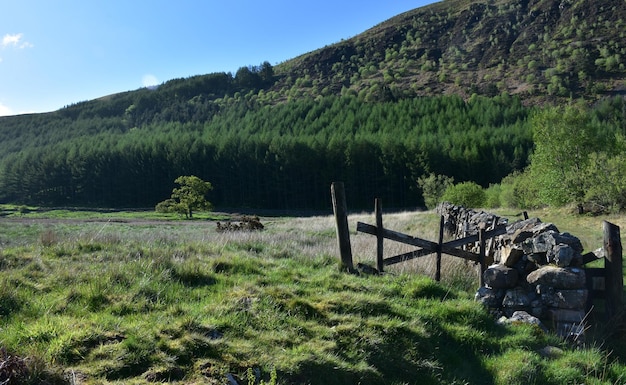 Ladera con un campo y un muro de piedra en Ennerdale