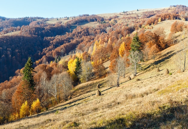 Ladera de la montaña de otoño con coloridos árboles y pajares.