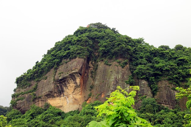 La ladera de las montañas