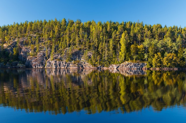 Una ladera rocosa cubierta de densos árboles verdes se refleja en el agua del lago quieto Karelia Rusia