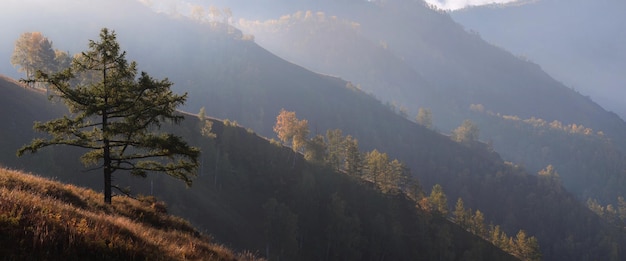 Laderas de montaña en el otoño de luz de la mañana