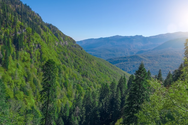 Laderas de las montañas con denso bosque mixto en Europa.