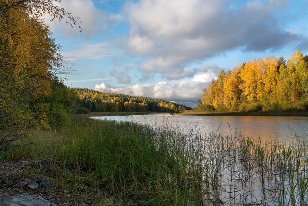 Ladogasee an einem sonnigen Herbsttag Ladoga Schären Republik Karelien Russland