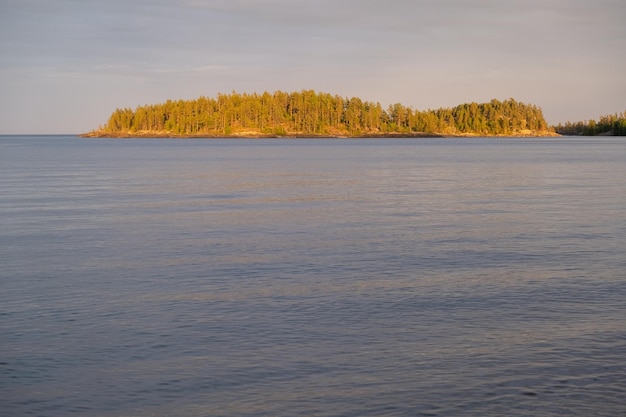 Ladogasee Panorama der Republik Karelien Nördliche Natur Russlands Insel mit Pinien