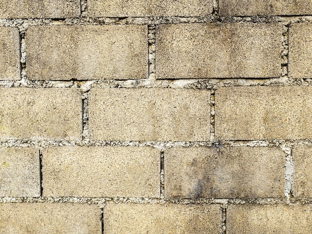 Los ladrillos y los bloques se colocan juntos y se conectan con cemento. Es una pared grande con una superficie áspera porque la pared no está enlucida para ser lisa debido al sol y la lluvia.