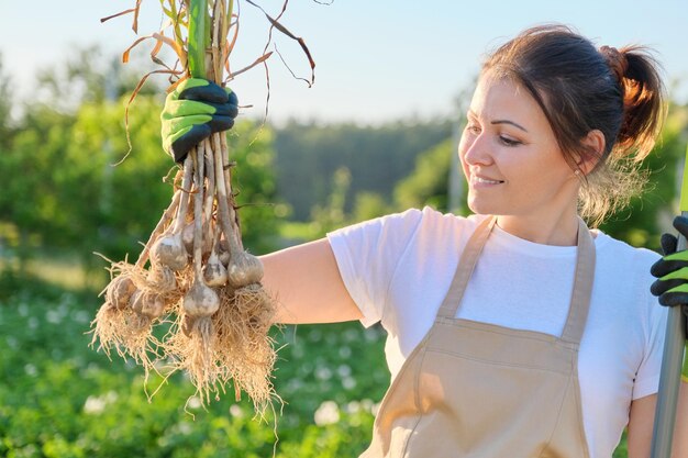 Lächelnde Bäuerin Gärtnerin, die frisch gegrabene Knoblauchpflanze in der Hand hält, Ernte Knoblauch Sommer sonnigen Gemüsegarten Hintergrund. Gesunde Bio-Lebensmittel, bäuerliche Arbeit und Hobbys